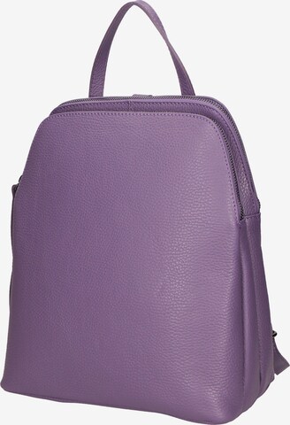 Gave Lux Backpack in Purple: front