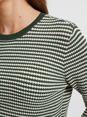 WE Fashion Sweater in Green