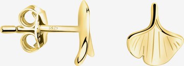 Sofia Milani Ohrringe 'Ginkgo Leaf' in Gold: Vorderseite