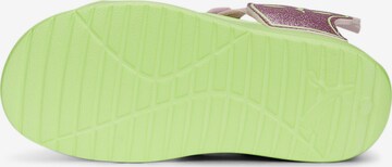 Sandales 'Divecat V2' PUMA en vert
