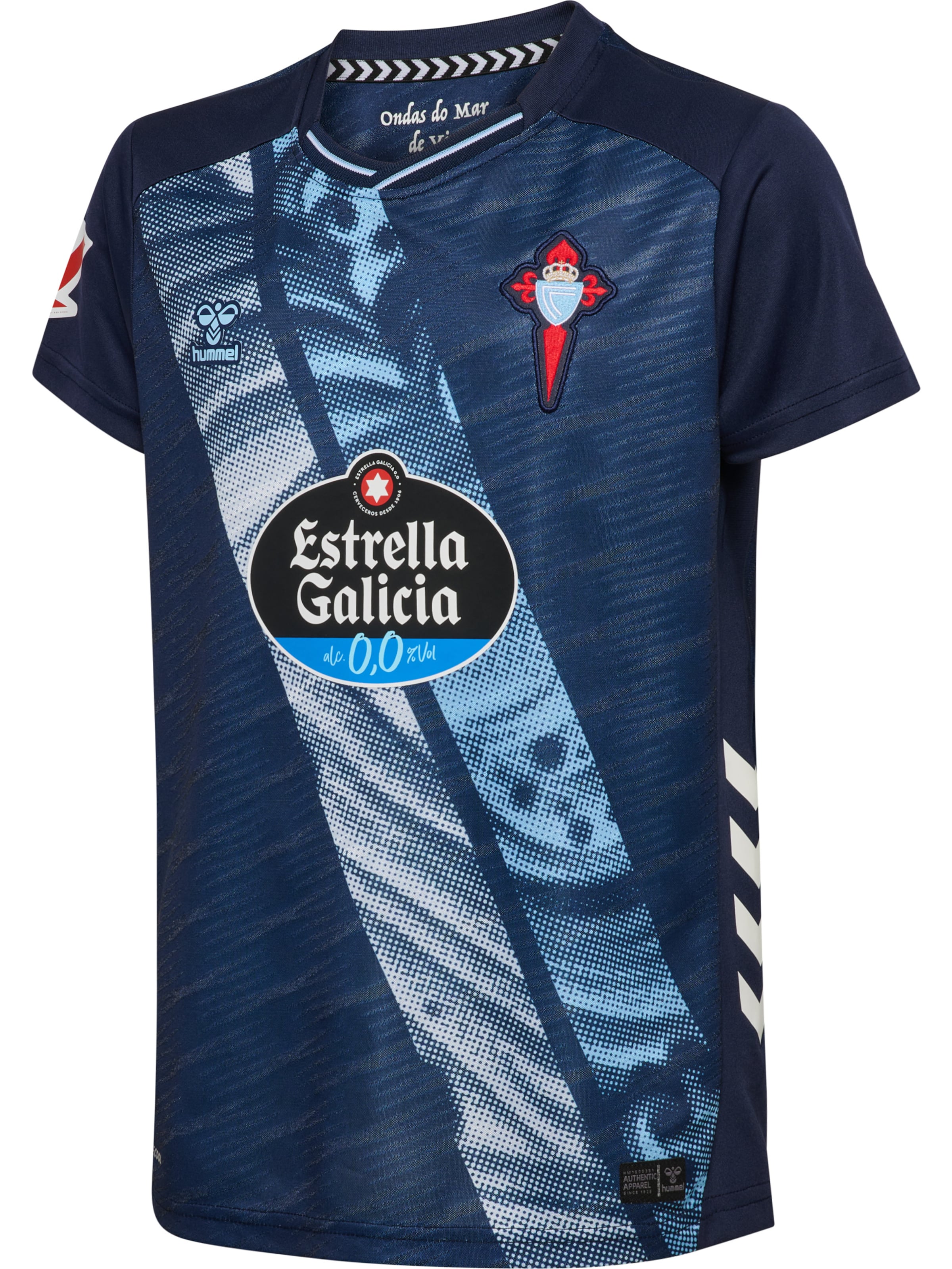 Hummel Funktionsskjorte 'RCCV 25/26' i blå