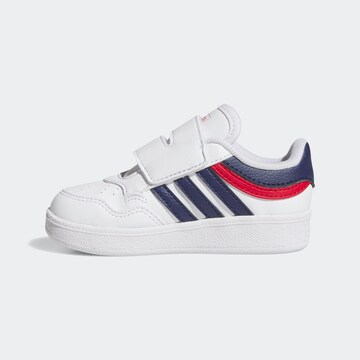 ADIDAS SPORTSWEAR Sneakers in White: front