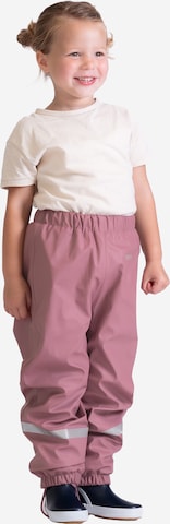 BMS Outdoor Pants 'SoftSkin Antarctic' in Purple: front