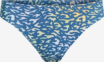 O'NEILL Bikinihose 'Maoi' in Blau: Vorderseite