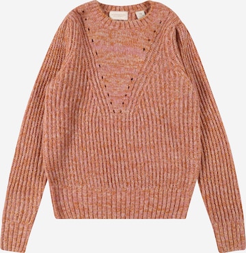 Pull-over SCOTCH & SODA en marron : devant