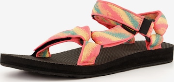 TEVA Hiking Sandals ' Original Universal' in Mixed colors: front