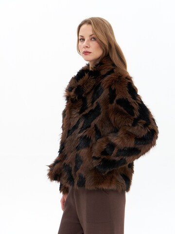 Passioni Winter Jacket in Brown