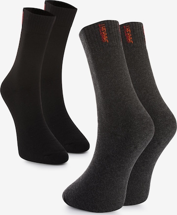 Crea Socks Sukat 'Thermal' värissä musta: etupuoli
