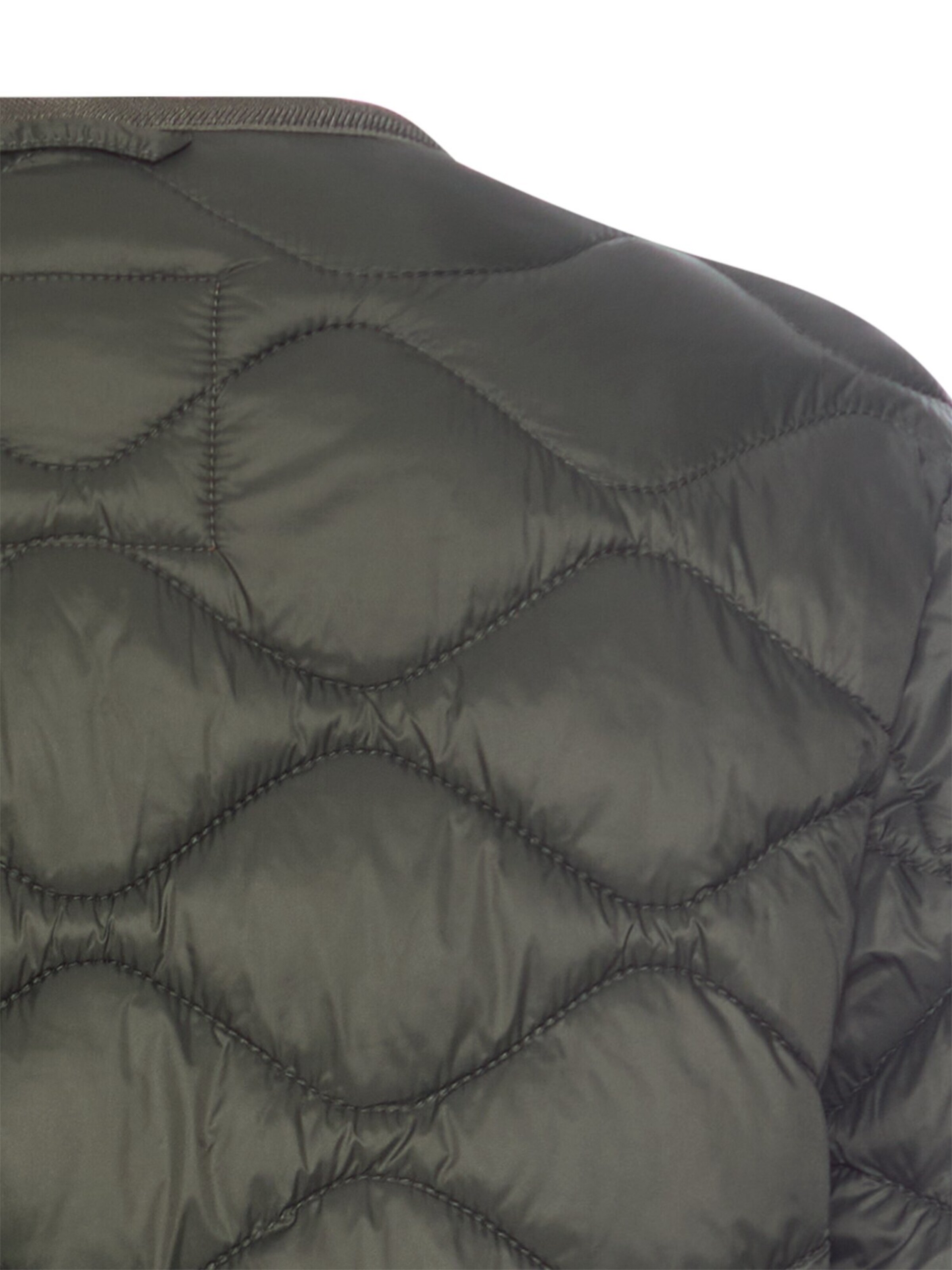 CAMEL ACTIVE Between-Season Jacket in Green