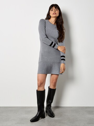 Apricot Jurk in Grijs