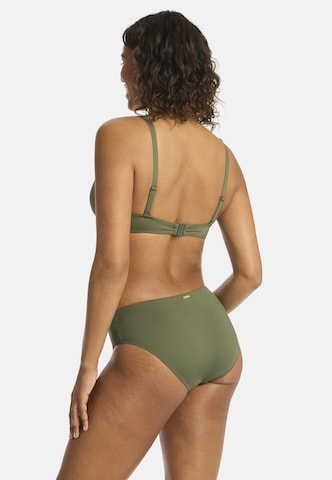 SEA LEVEL Triangel Bikinitop 'Longline Essentials' in Grün