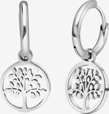 Boucles d'oreilles Lucardi en argent : devant