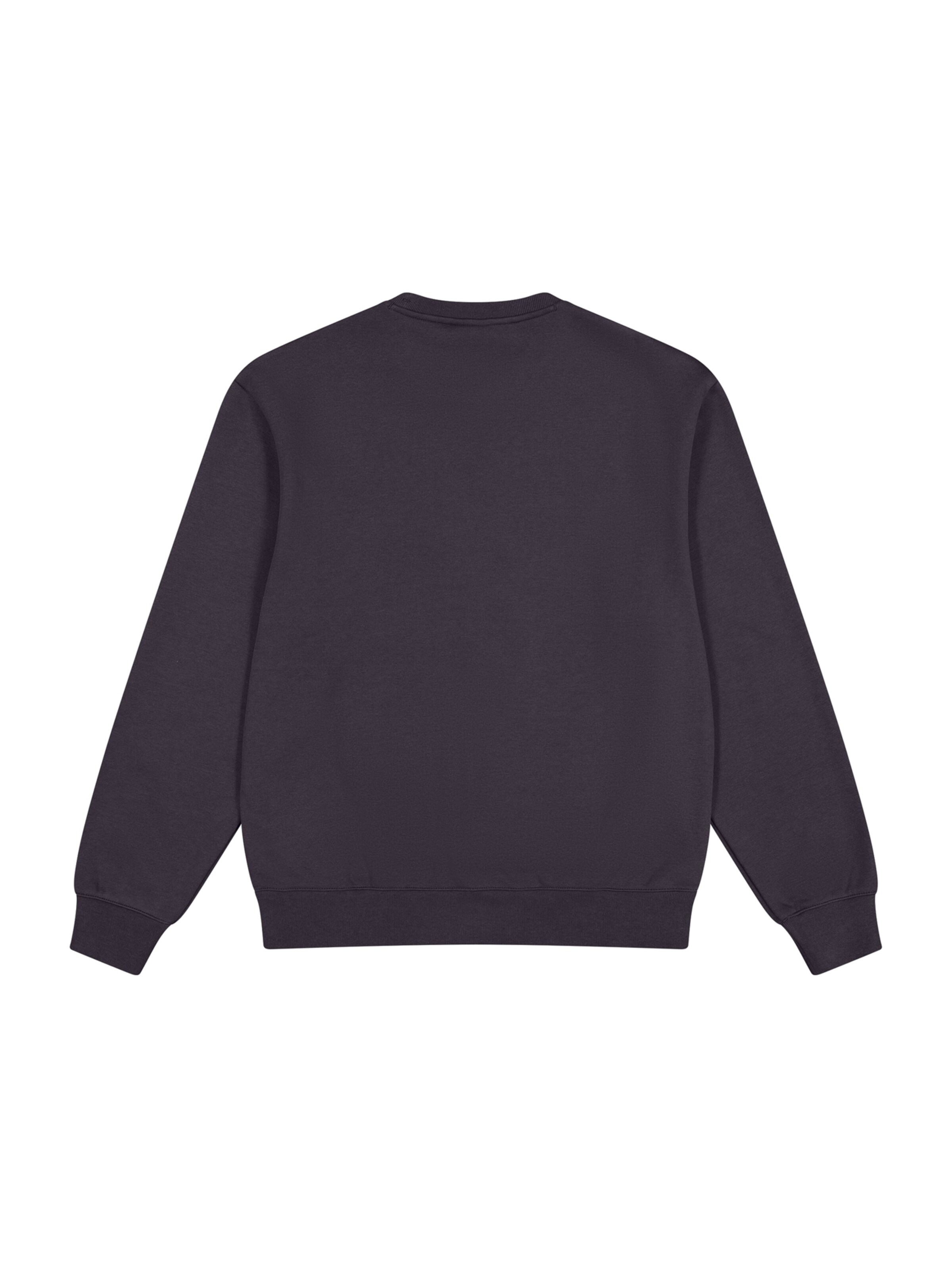 Sweat-shirt Champion Authentic Athletic Apparel en gris