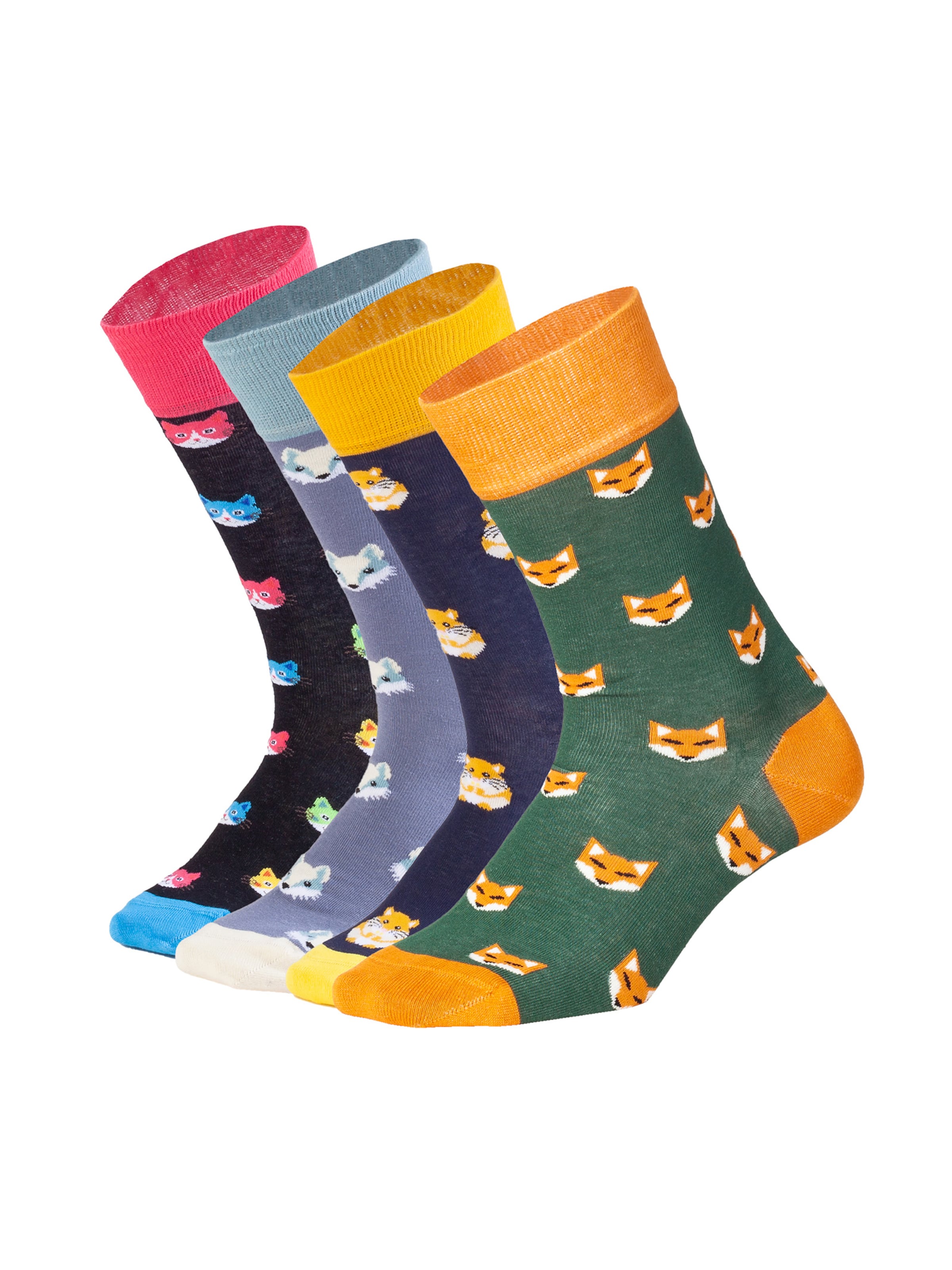 DillySocks Socken in Mischfarben: Vorderseite