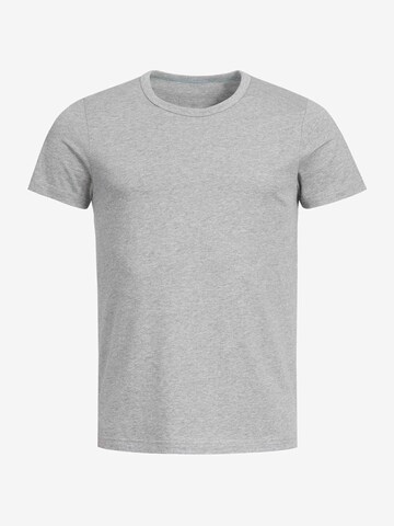 T-Shirt 'Paul' Erlich Textil en gris