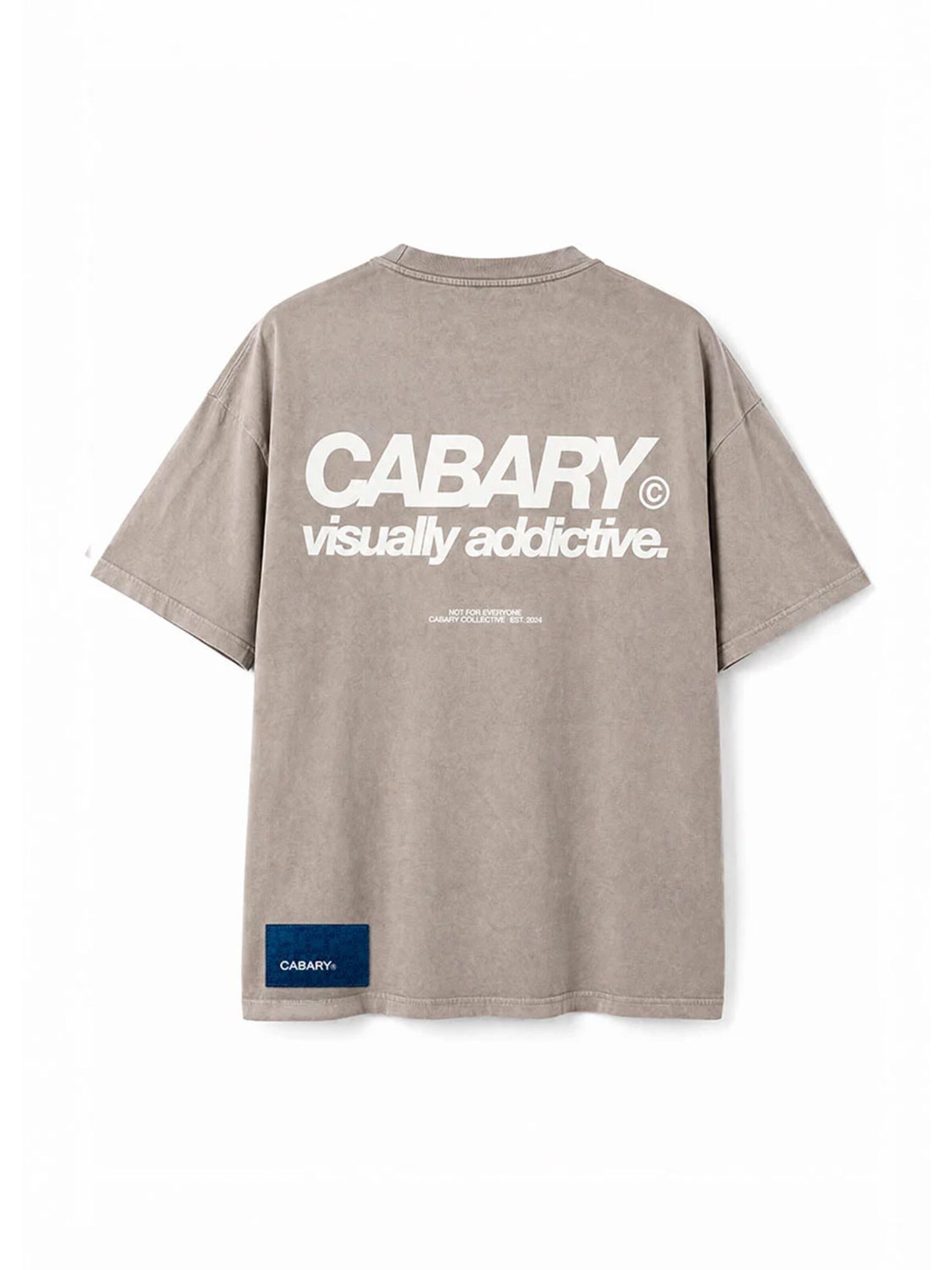 Maglietta 'Camiseta Oversized Addictive' di CABARY in verde: frontale