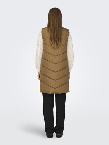 JDY Vest 'Finno' in Brown