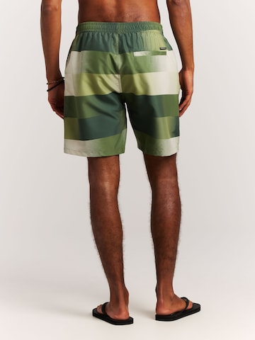 PROTEST Badeshorts 'PRTLomond'‌‌‌ in Grün