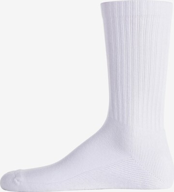 LACOSTE Socks in White