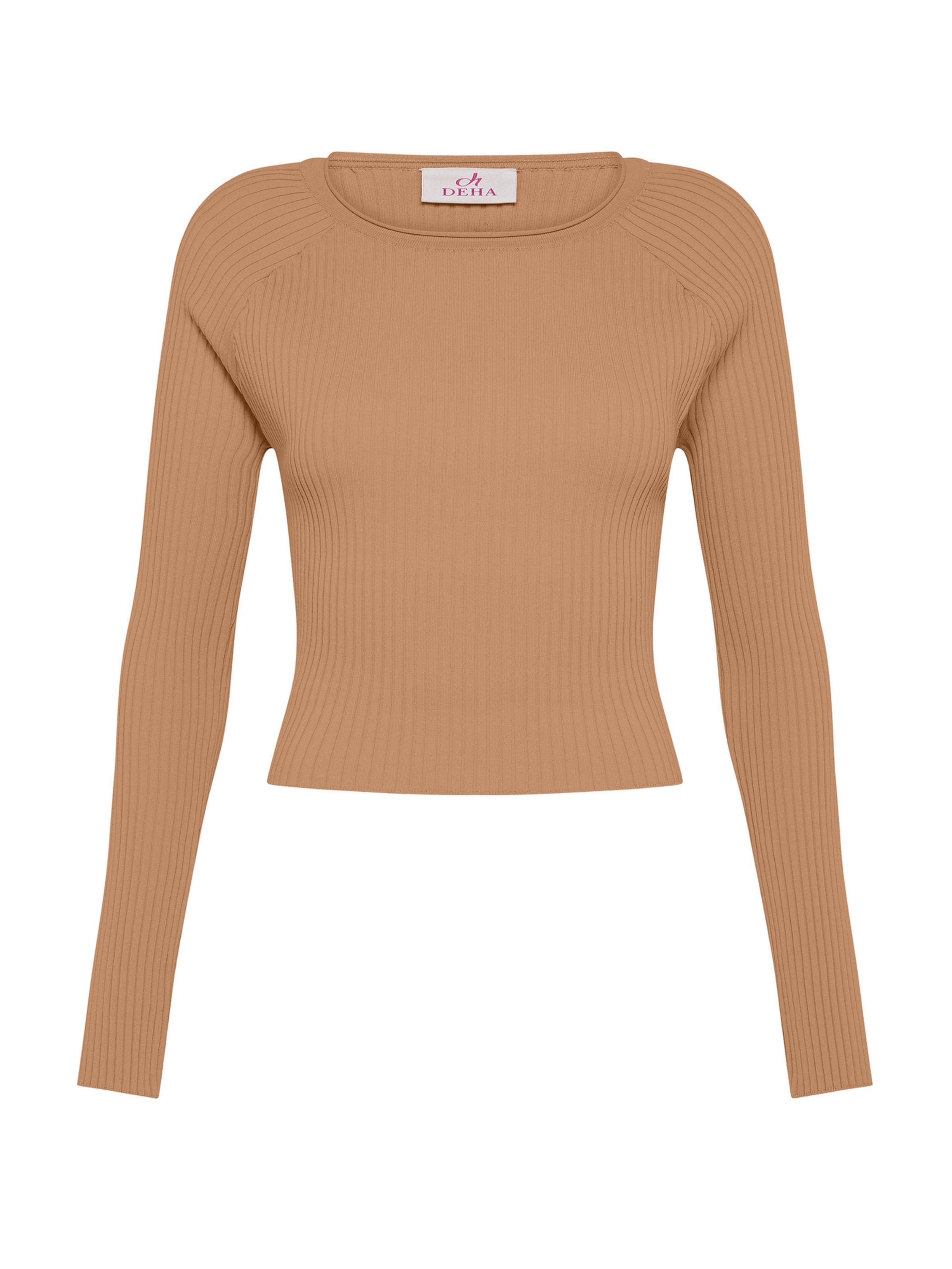 DEHA Sweater in Brown: front