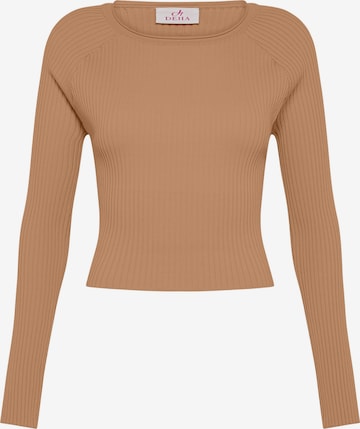 DEHA Sweater in Brown: front