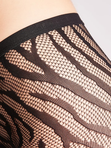 FALKE Tights in Black