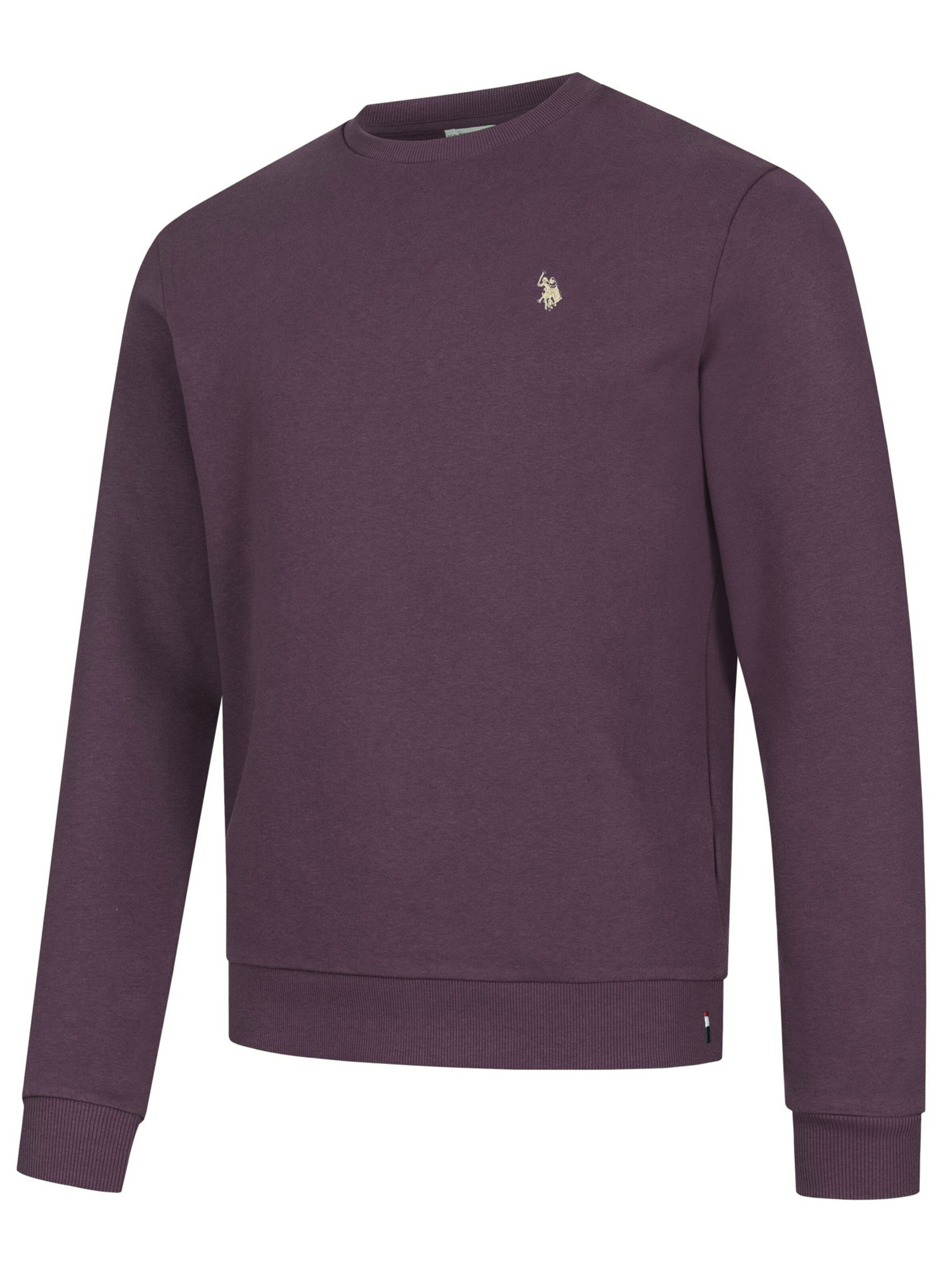 U.S. POLO ASSN. Sweatshirt in Purple