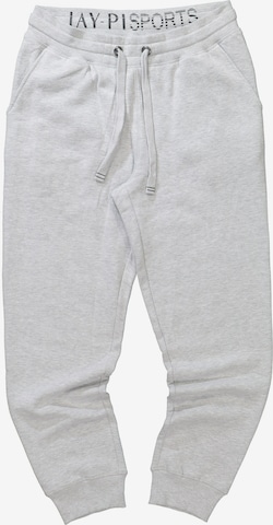 JAY-PI Tapered Pants in Grey: front