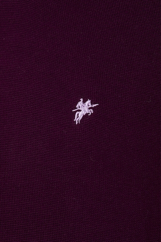 DENIM CULTURE Sweater 'Jeromy' in Purple