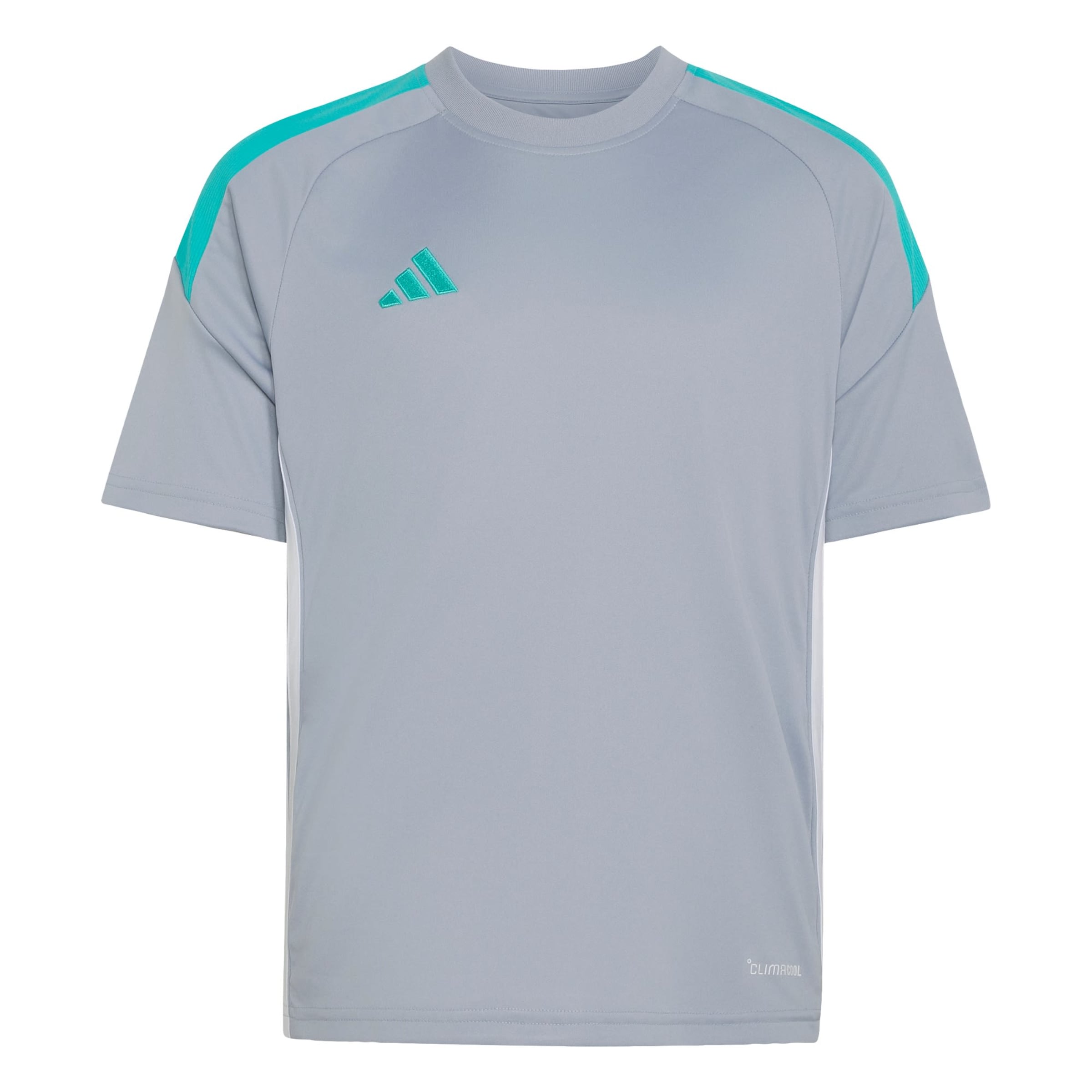 ADIDAS PERFORMANCE - Camiseta funcional 'Tiro 26 Essentials' en gris: frente