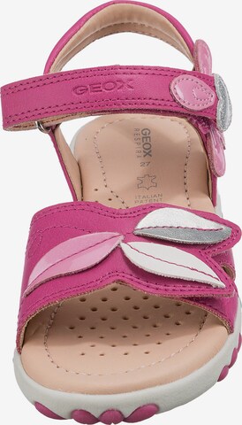 GEOX Sandals 'HAITI' in Pink