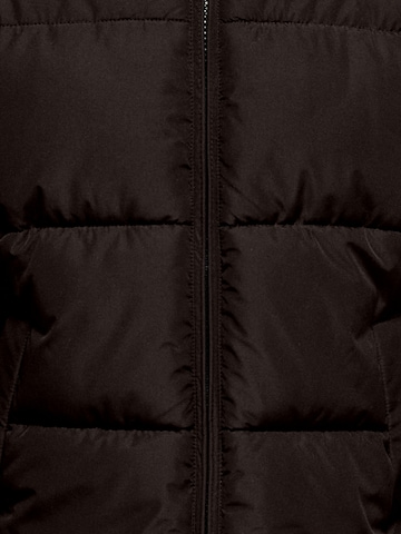 NAME IT Winter Jacket 'NKFJuta Life' in Brown