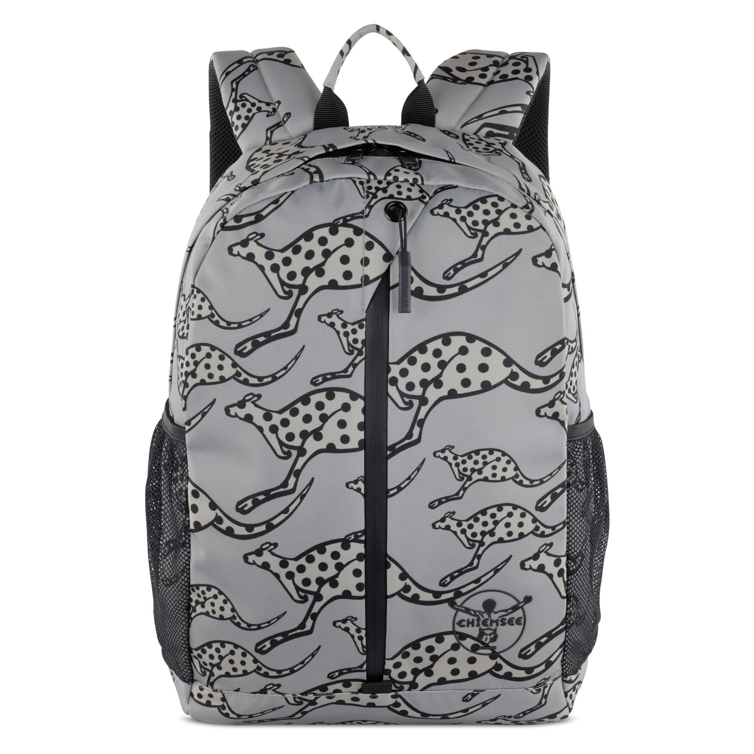 CHIEMSEE Rucksack in Grau: Vorderseite