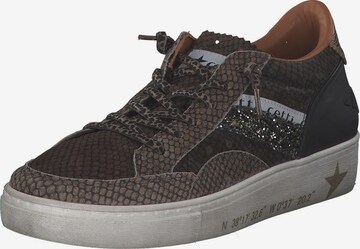 Cetti Sneakers 'C1257 SRA' in Brown: front