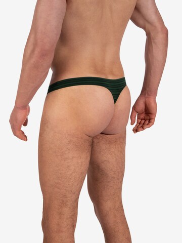 Olaf Benz Panty 'RED2329' in Green