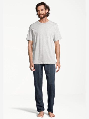 SCHIESSER Short Pajamas 'Night & Home' in Blue