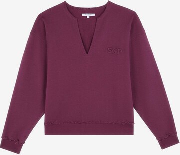 Sweat-shirt Scalpers en violet : devant