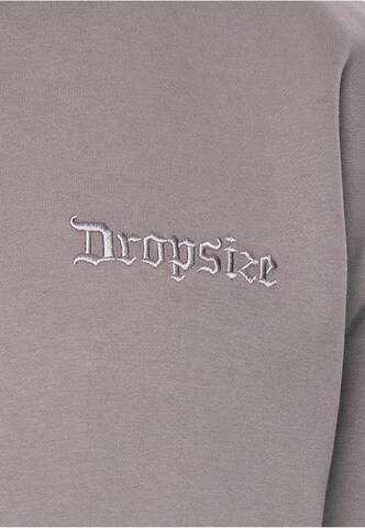 Dropsize Sweatshirt in Grey
