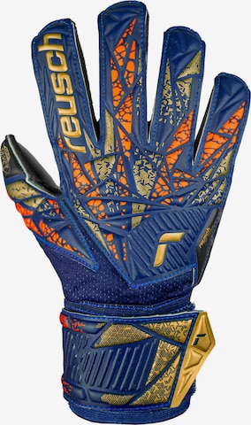 REUSCH Athletic Gloves 'ATTRAKT SILVER JUNIOR' in Blue: front