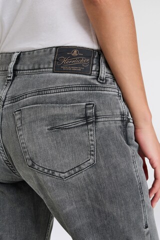Herrlicher Bootcut Jeans in Grau