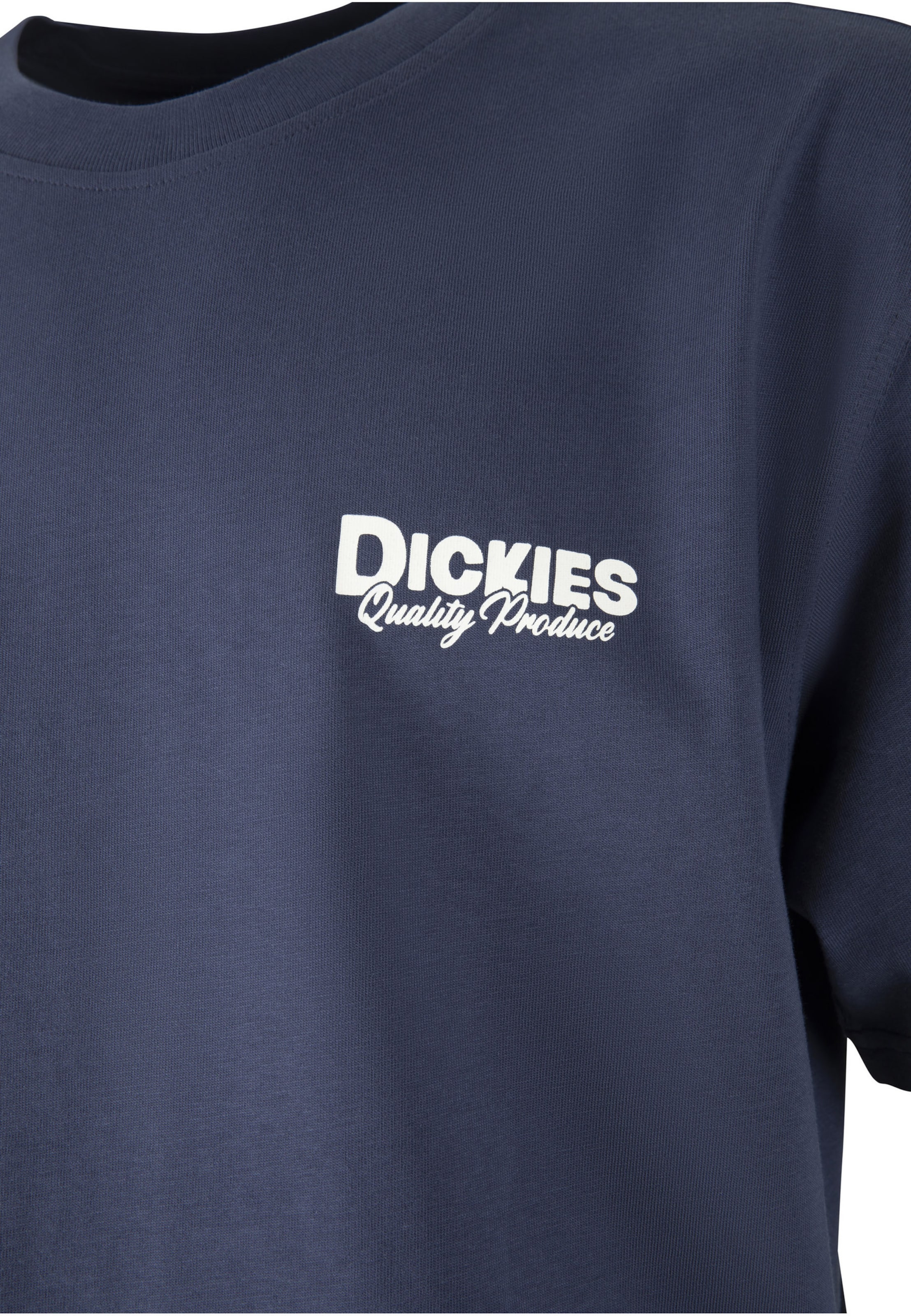 Maglietta 'Berryfield' di DICKIES in blu: frontale