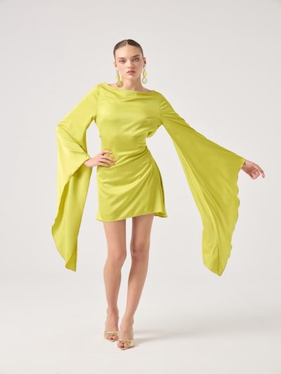 HOLLY LOLLY Robe de cocktail en 40 en pomme, Vue avec produit