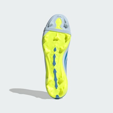 ADIDAS PERFORMANCE Soccer Cleats 'Predator League' in Blue