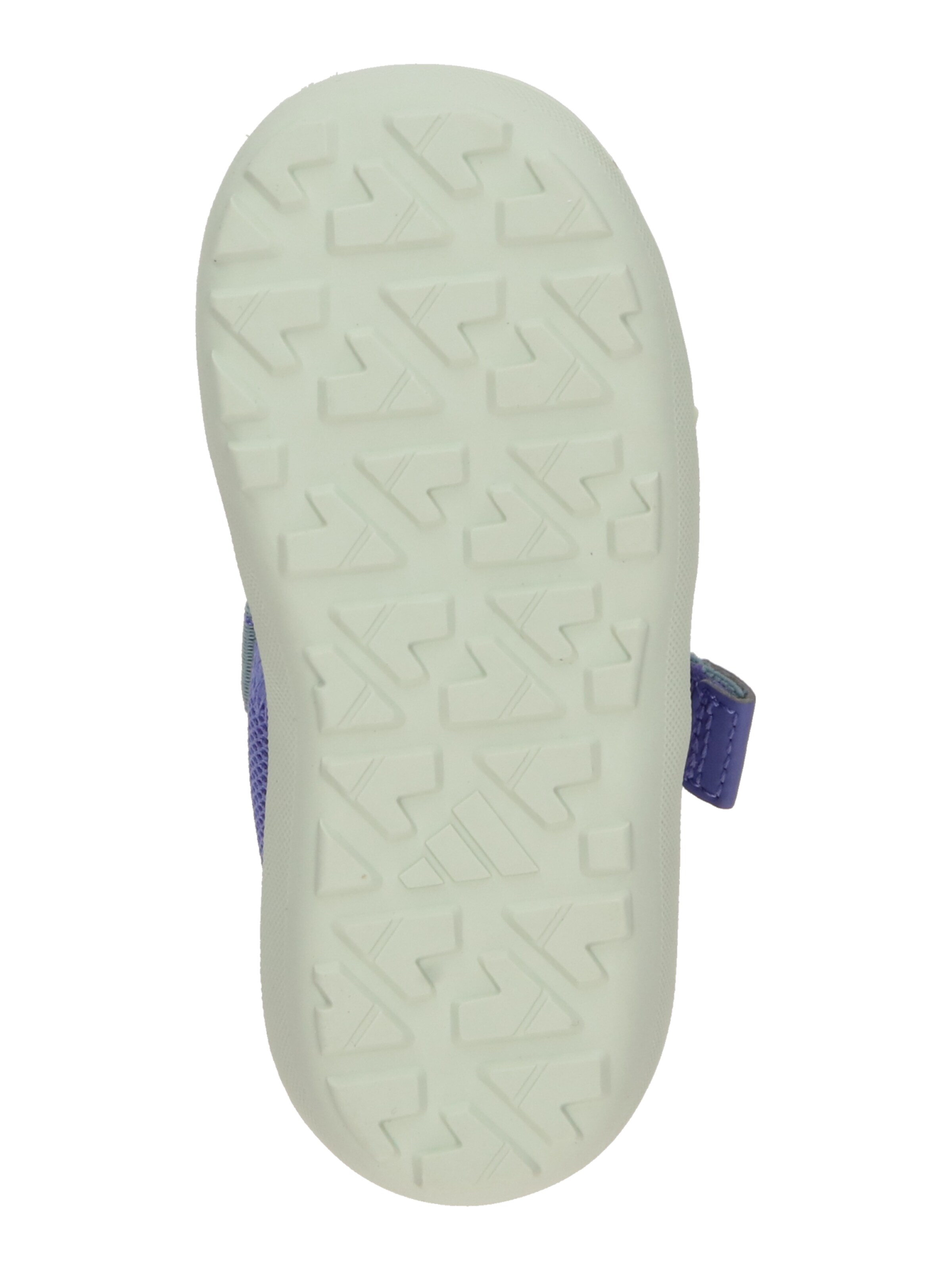 ADIDAS TERREX Polobotky 'Captain Toey I' – šedá