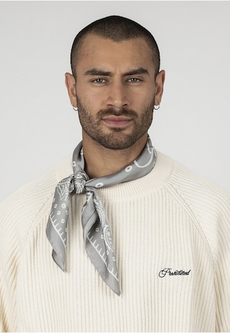 Prohibited Pullover 'Campus' i beige