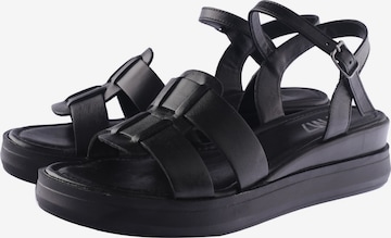 D.MoRo Shoes Sandals in Black: front