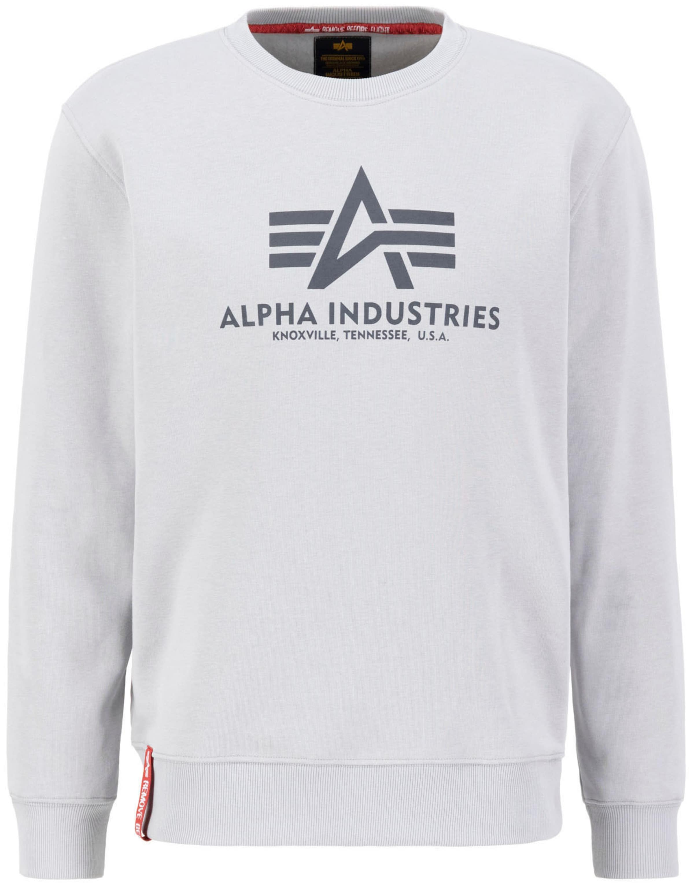 ALPHA INDUSTRIES Bluzka sportowa w kolorze szary: przód