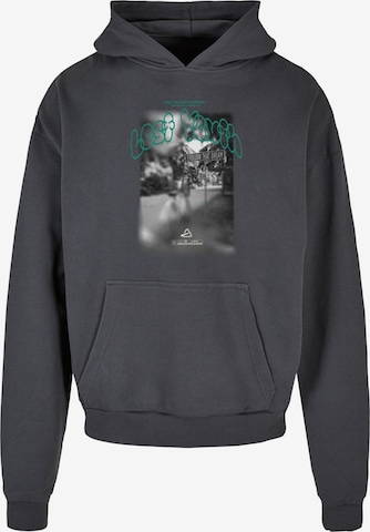 Lost Youth Sweatshirt 'Follow That Dream' i grå: framsida