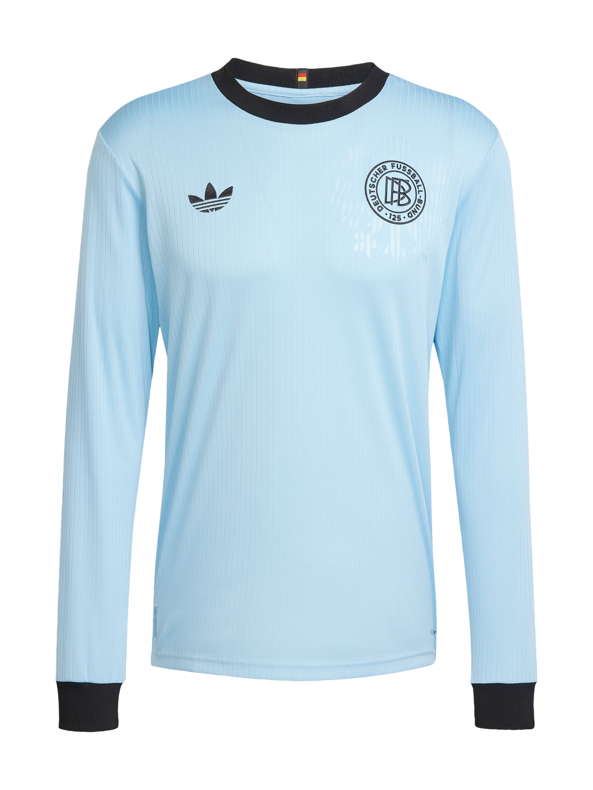 ADIDAS PERFORMANCE Spordisärk 'DFB Home 125 Jahre', värv sinine: eest vaates