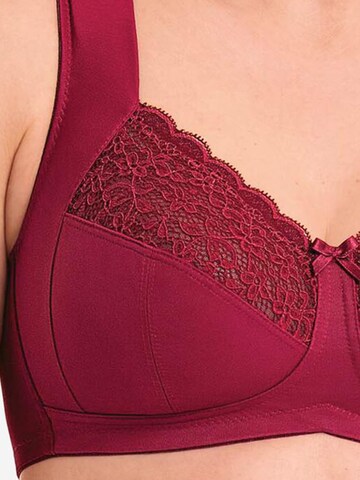ANITA Minimizer BH 'Havanna' in Rood